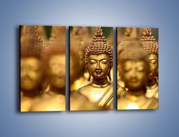 Obraz na płótnie – Złote buddy w słońcu – trzyczęściowy O111W2