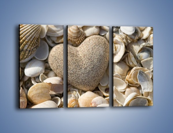 Obraz na płótnie – Miłość do muszli i morza – trzyczęściowy O132W2