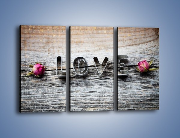 Obraz na płótnie – Miłość pachnąca różami – trzyczęściowy O146W2