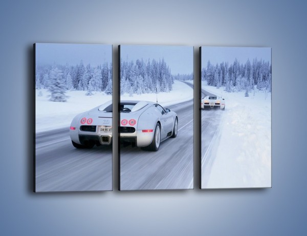 Obraz na płótnie – Bugatti Veyron w śniegu – trzyczęściowy TM134W2