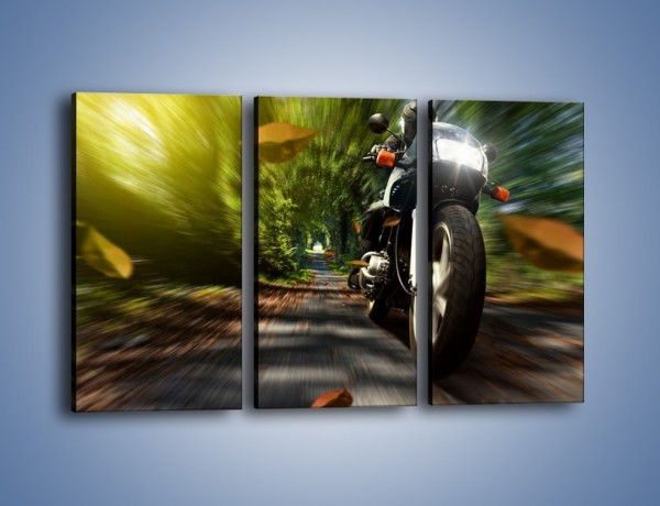 Obraz na płótnie – Jazda na motocyklu leśną dróżką – trzyczęściowy TM153W2
