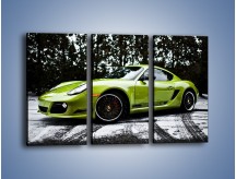 Obraz na płótnie – Porsche Cayman R – trzyczęściowy TM176W2