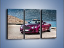 Obraz na płótnie – Bentley Continental Speed GT – trzyczęściowy TM187W2