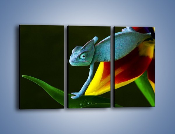 Obraz na płótnie – Liść w łapce kameleona – trzyczęściowy Z005W2