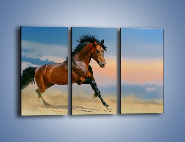 Obraz na płótnie – Brązowy koń na pustyni – trzyczęściowy Z011W2