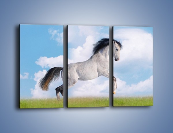 Obraz na płótnie – Białe obłoki i koń – trzyczęściowy Z019W2