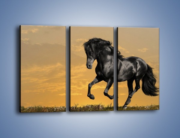 Obraz na płótnie – Bieg z koniem po polanie – trzyczęściowy Z057W2
