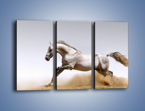 Obraz na płótnie – Srebrny koń w galopie – trzyczęściowy Z062W2