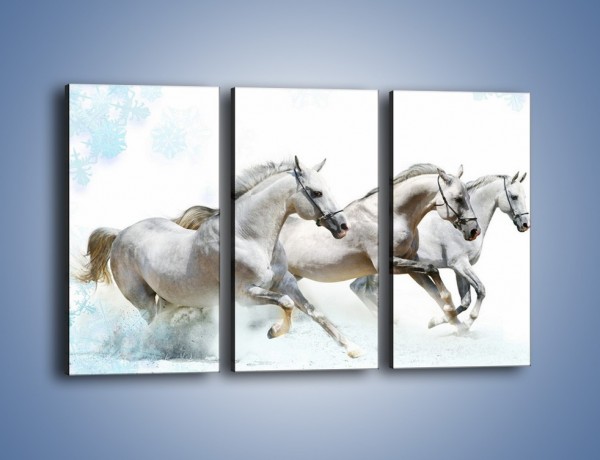 Obraz na płótnie – Końskie trio w zimowym pędzie – trzyczęściowy Z063W2