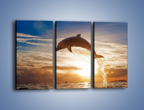 Obraz na płótnie – Z delfinem do nieba – trzyczęściowy Z074W2