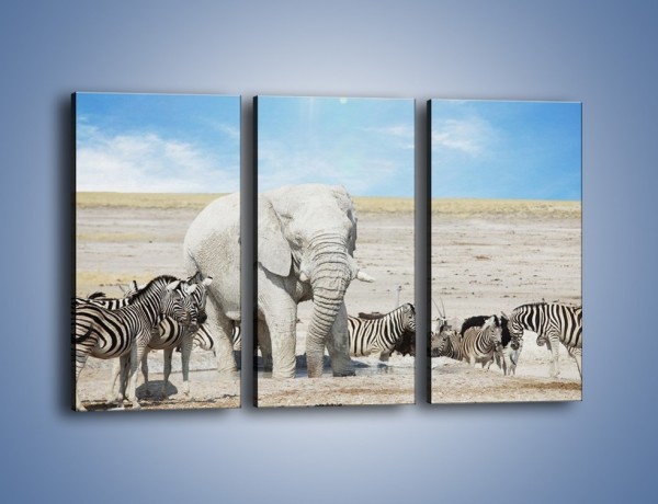 Obraz na płótnie – Słoń i jego przyjaciele – trzyczęściowy Z080W2
