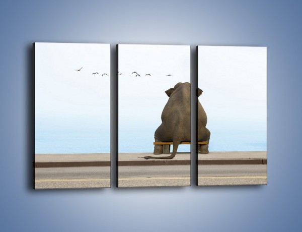 Obraz na płótnie – Przemyślenia słonia w samotności – trzyczęściowy Z120W2