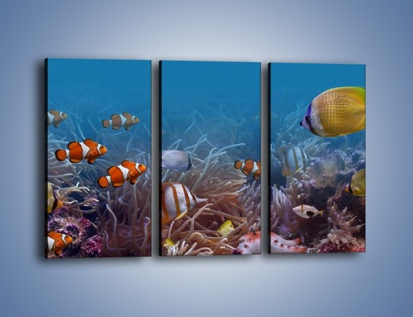 Obraz na płótnie – Ocean i jego kolorowi towarzysze – trzyczęściowy Z168W2