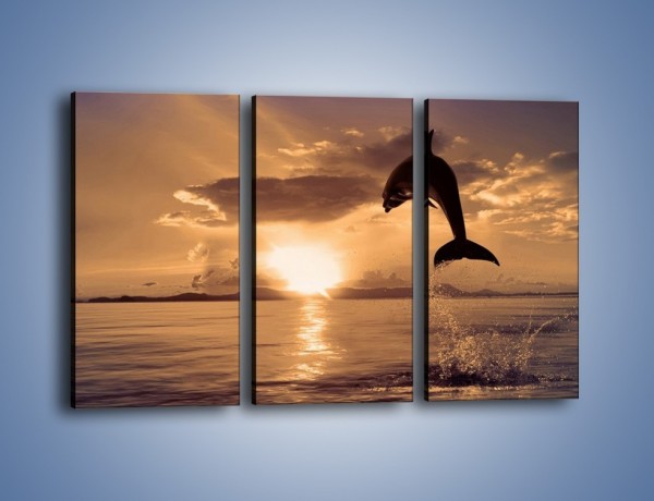 Obraz na płótnie – Z delfinem w stronę zachodzącego słońca – trzyczęściowy Z170W2