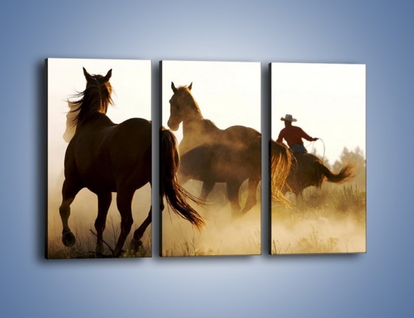 Obraz na płótnie – Cowboy wśród koni – trzyczęściowy Z206W2