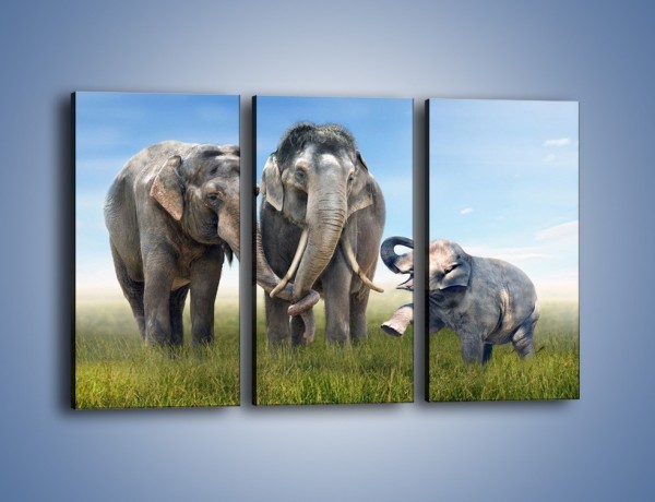 Obraz na płótnie – Przebij łapę ze słoniątkiem – trzyczęściowy Z208W2