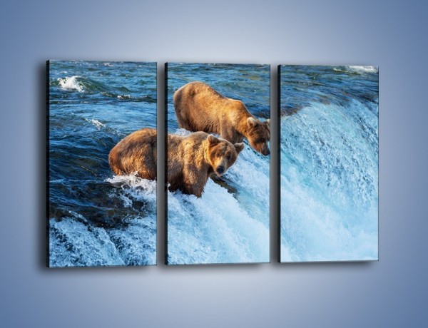Obraz na płótnie – Niedźwiedzie na zjeżdżalni – trzyczęściowy Z213W2