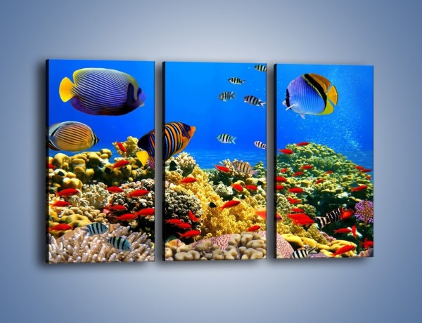 Obraz na płótnie – Kolory tęczy pod wodą – trzyczęściowy Z220W2