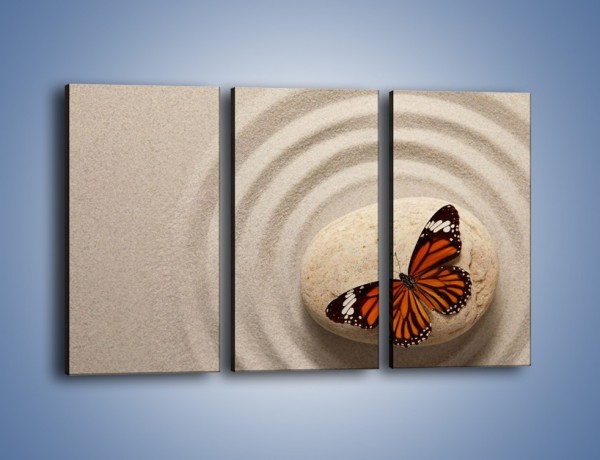 Obraz na płótnie – Spoczynek motyla na kamieniu – trzyczęściowy Z224W2