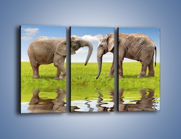 Obraz na płótnie – Poważne rozmowy słoni – trzyczęściowy Z228W2