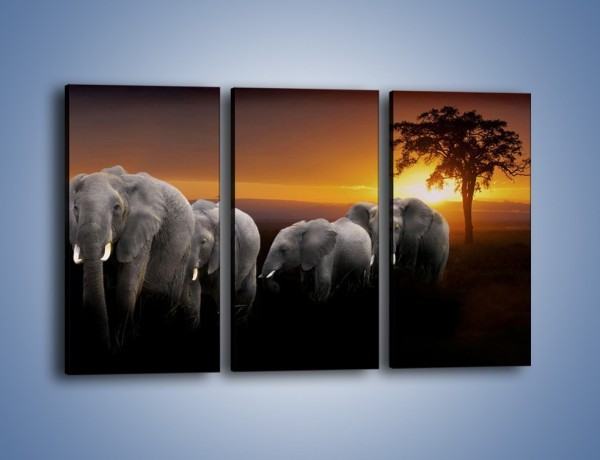 Obraz na płótnie – Powrót słoni do domu – trzyczęściowy Z229W2