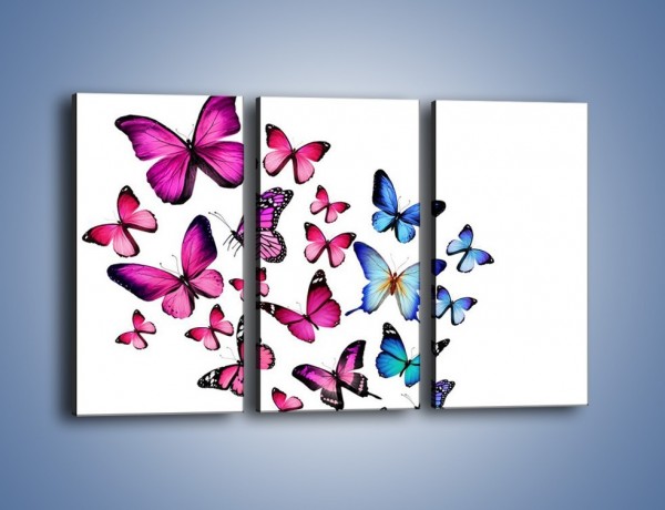 Obraz na płótnie – Rodzina kolorowych motyli – trzyczęściowy Z235W2