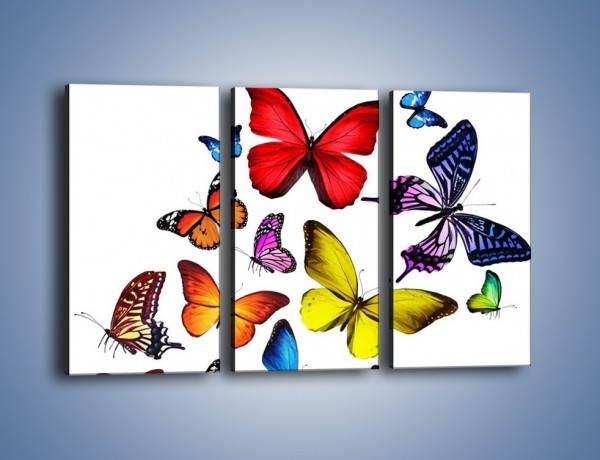 Obraz na płótnie – Kolorowo wśród motyli – trzyczęściowy Z236W2