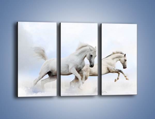Obraz na płótnie – Białe konie i biały śnieg – trzyczęściowy Z239W2