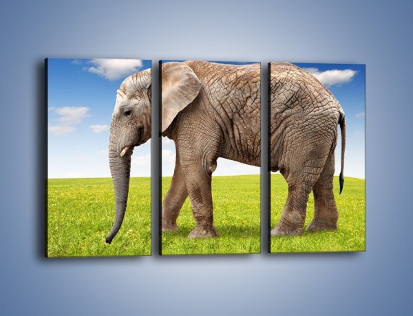 Obraz na płótnie – Odbicie słonia w wodnym lustrze – trzyczęściowy Z245W2