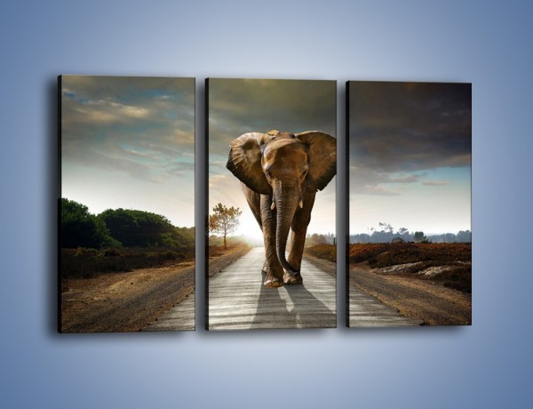 Obraz na płótnie – Słoń w poszukiwaniu rodziny – trzyczęściowy Z256W2