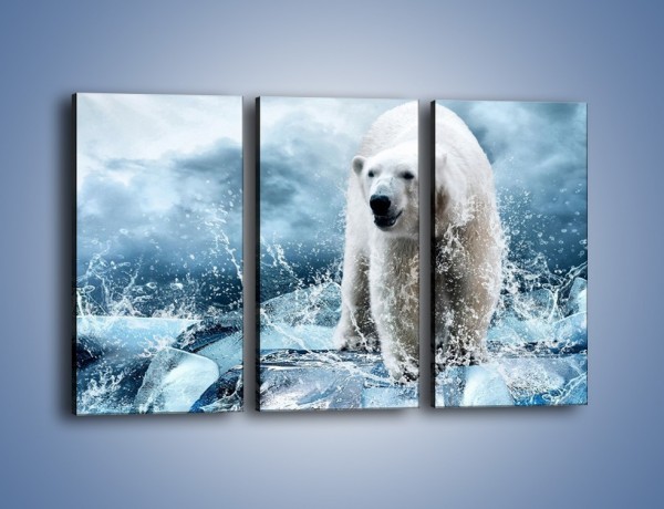 Obraz na płótnie – Polarny niedźwiedź na lodzie – trzyczęściowy Z264W2
