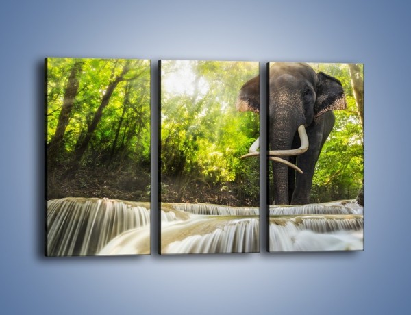 Obraz na płótnie – Słoń i mały wodospad – trzyczęściowy Z305W2