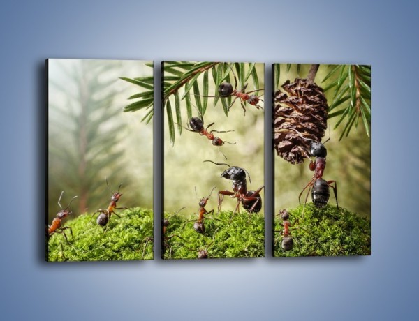 Obraz na płótnie – Praca mrówek od rana do wieczora – trzyczęściowy Z321W2