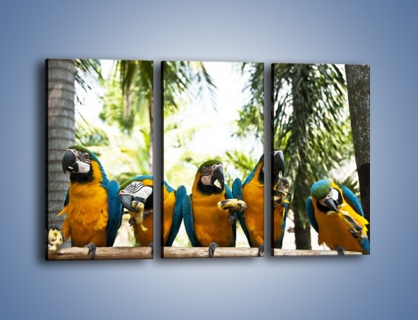 Obraz na płótnie – Piknik z papugami – trzyczęściowy Z322W2