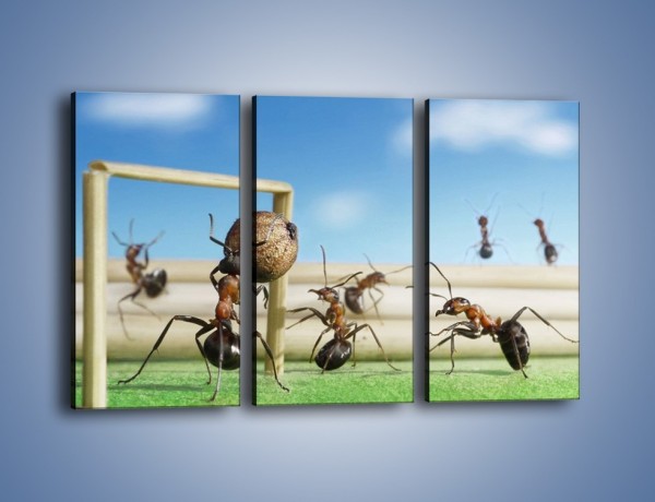 Obraz na płótnie – Mecz mrówkowych drużyn – trzyczęściowy Z327W2