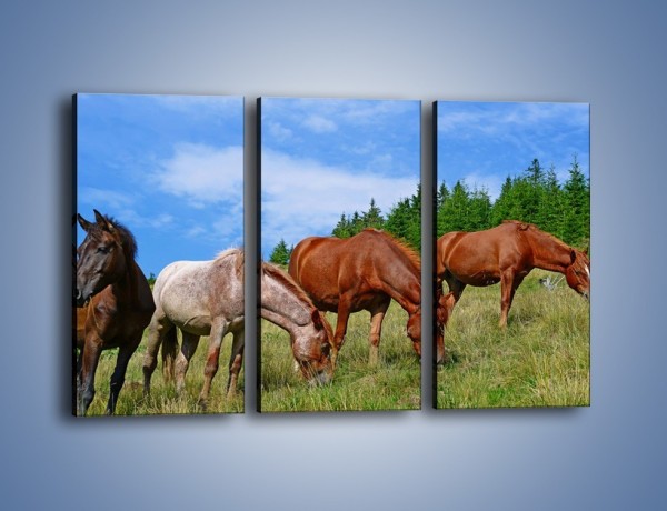 Obraz na płótnie – Spokój las i konie – trzyczęściowy Z330W2