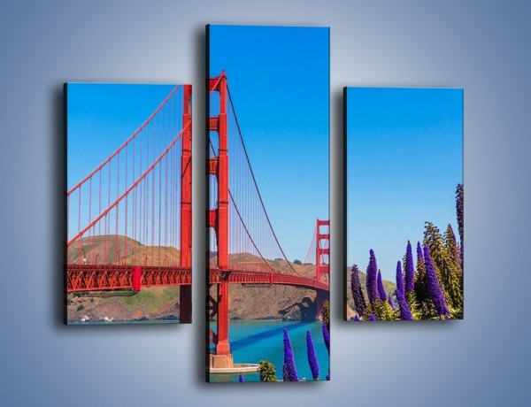 Obraz na płótnie – Golden Gate pod błękitnym niebem – trzyczęściowy AM644W3