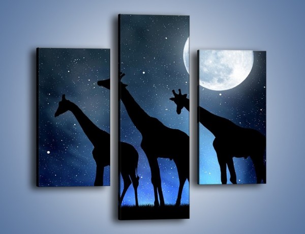 Obraz na płótnie – Żyrafie trio nocą – trzyczęściowy GR316W3