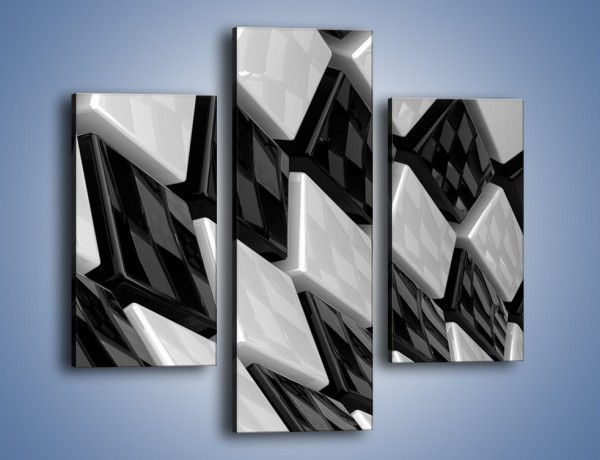 Obraz na płótnie – Czarne czy białe – trzyczęściowy GR425W3