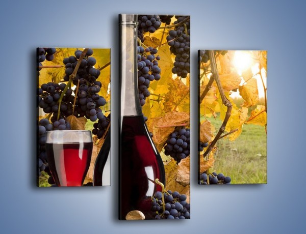 Obraz na płótnie – Wino wśród winogron – trzyczęściowy JN007W3