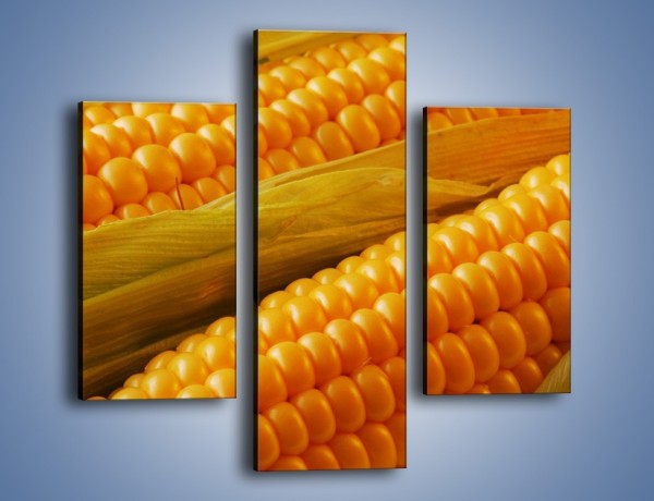 Obraz na płótnie – Kolby dojrzałych kukurydz – trzyczęściowy JN046W3