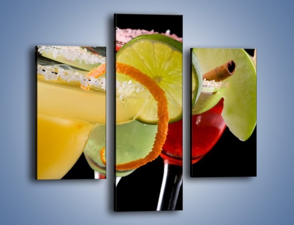 Obraz na płótnie – Drinki z dodatkiem owoców – trzyczęściowy JN101W3