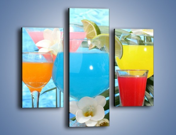 Obraz na płótnie – Drinki na tropikalnej wyspie – trzyczęściowy JN163W3
