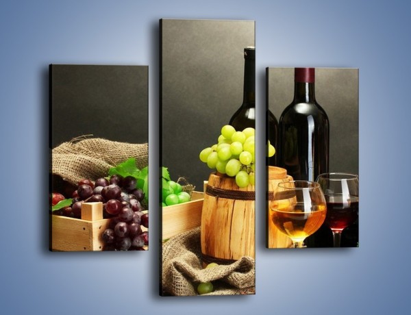 Obraz na płótnie – Wytrawne smaki wina – trzyczęściowy JN289W3