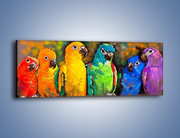 Obraz na płótnie – Rozmowa papuzich przyjaciół – jednoczęściowy panoramiczny GR492