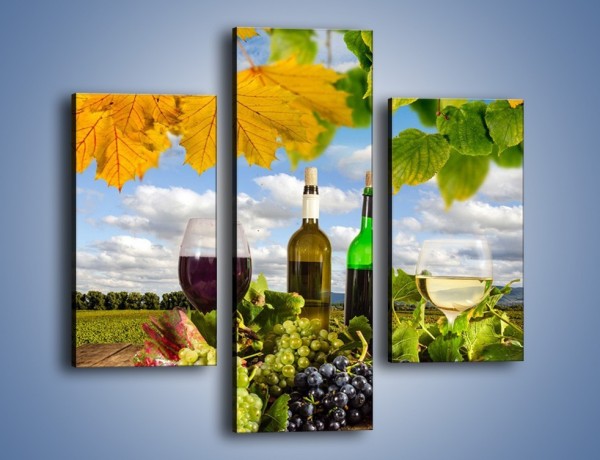 Obraz na płótnie – Wino w jesiennych klimatach – trzyczęściowy JN415W3