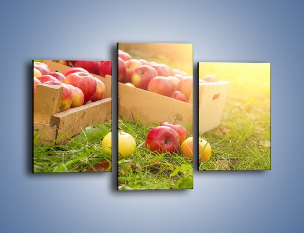 Obraz na płótnie – Jabłka skąpane w trawie – trzyczęściowy JN628W3