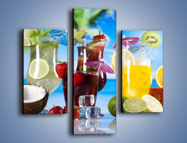 Obraz na płótnie – Drinki z egzotycznych owoców – trzyczęściowy JN640W3