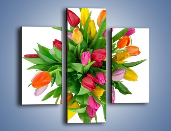 Obraz na płótnie – Wiązanka kolorowych tulipanów – trzyczęściowy K019W3