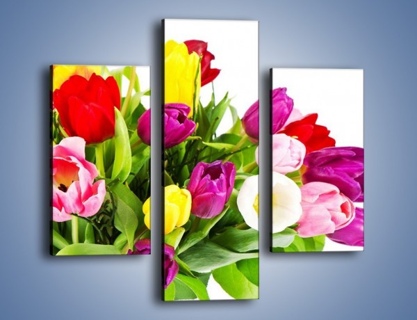 Obraz na płótnie – Kolorowe tulipany w pęku – trzyczęściowy K023W3
